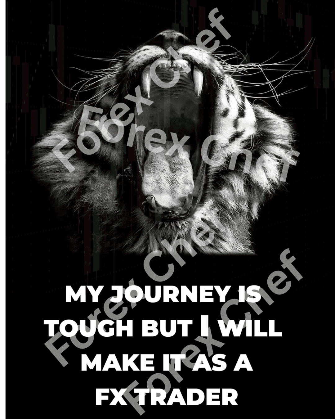 Traders Roar poster featuring a roaring tiger and candlestick charts